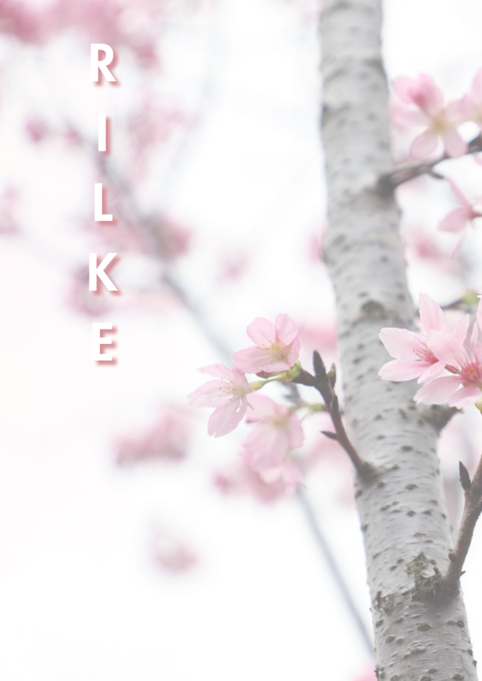 Schönheit und Vergänglichkeit