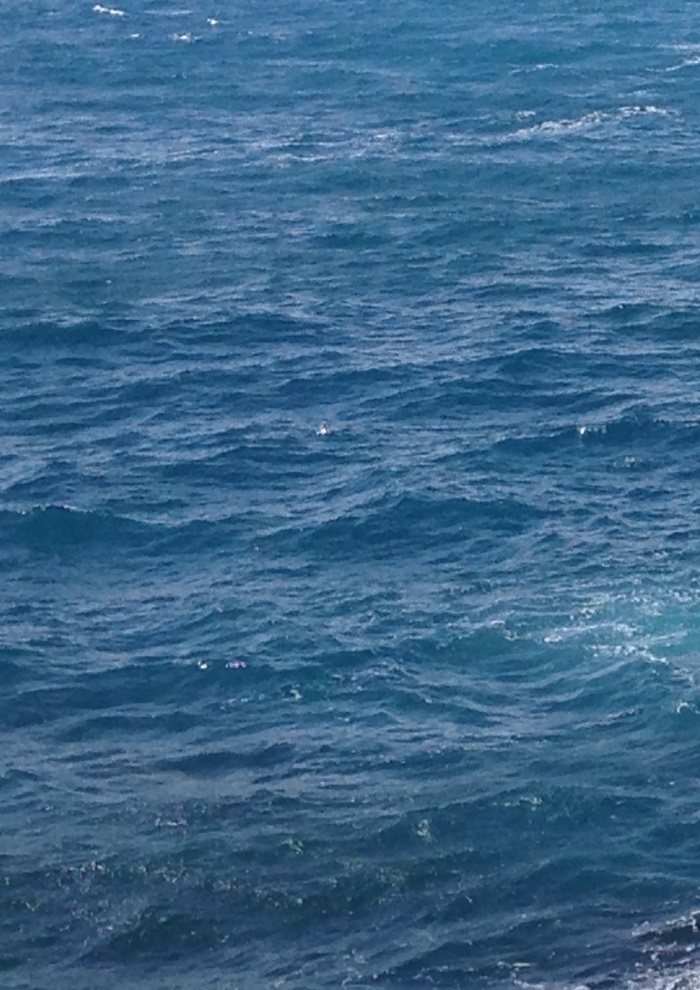 Es singen die Wasser im Schlafe noch fort